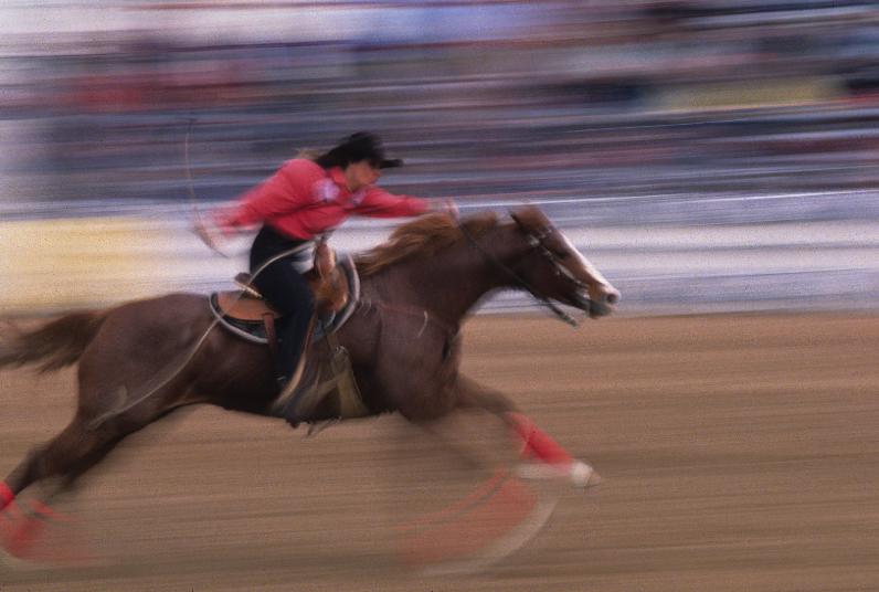 Barrelracer