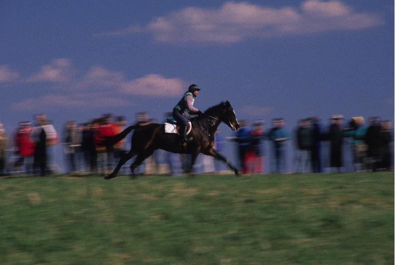fairhill