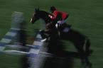 smspruceblur